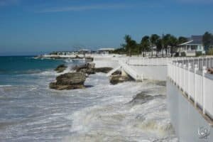Bimini coast line