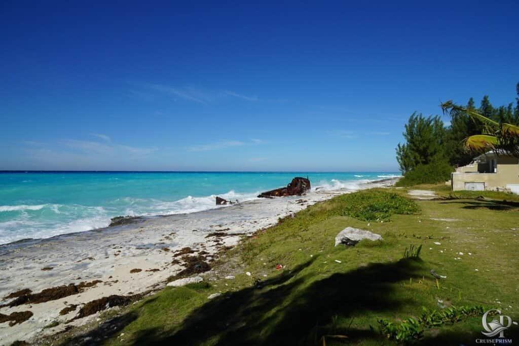 Beautiful tropical beach with clear turquoise ocean, sandy shoreline, and vibrant green foliage unde.