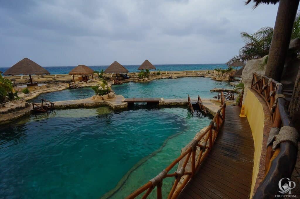 Cozumel Mexico Dolphinaris