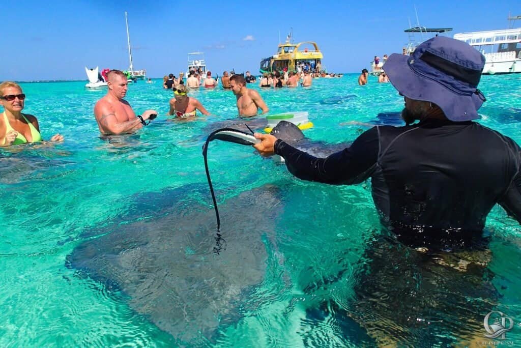 Grand Cayman Stingray City