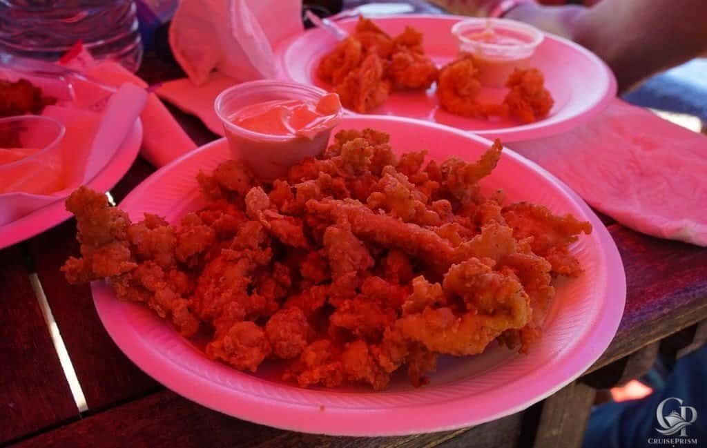 Grand Turk cracked conch