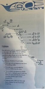 Alaska Cruise Wildlife Spotting Guide: What Animals Can You See From the Ship?