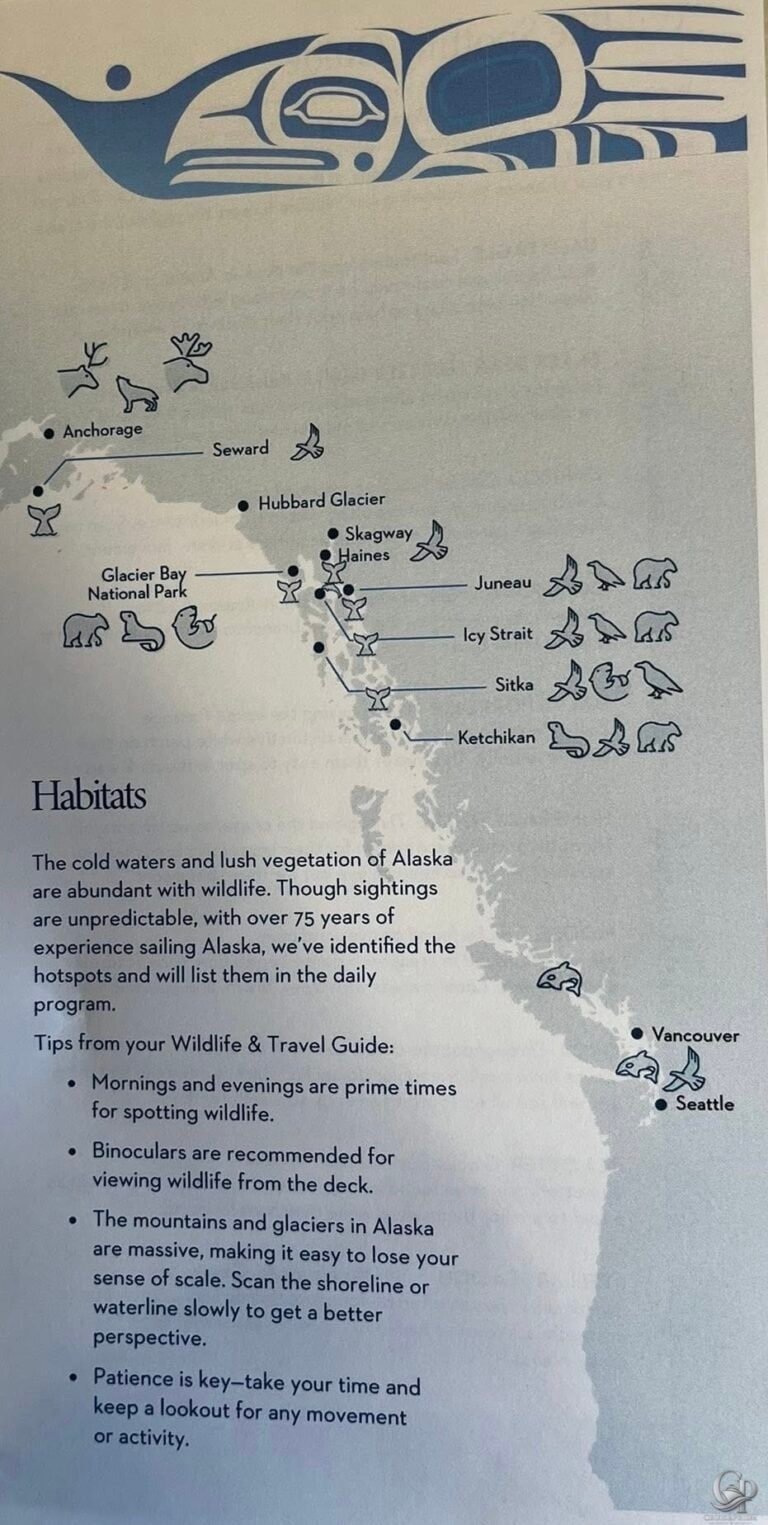 Alaska Cruise Wildlife Spotting Guide: What Animals Can You See From the Ship?