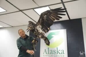 Sitka Cruise Port Guide: Eagles, Bears, Fresh Seafood & One of Alaska’s Most Relaxing Ports